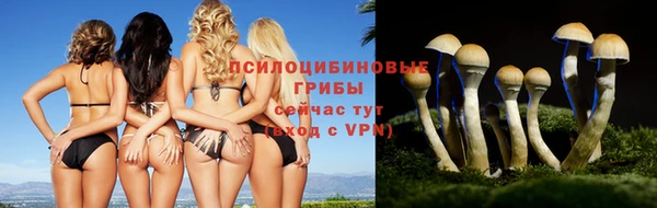ГАЛЛЮЦИНОГЕННЫЕ ГРИБЫ Алзамай