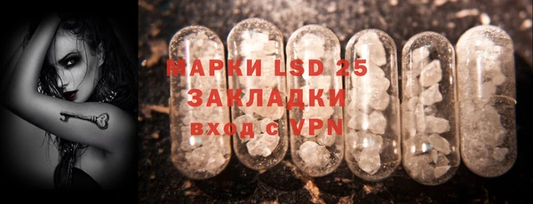 прущие грибы Алексин